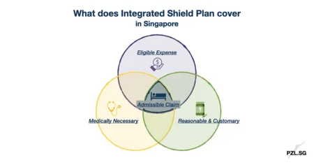 What does an Integrated Shield Plan cover in Singapore