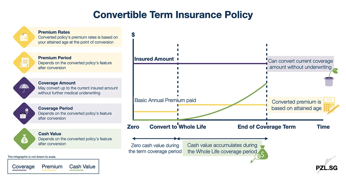 Convertible Term Insurance Policy