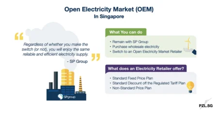 Open Electricity Market (OEM) in Singapore
