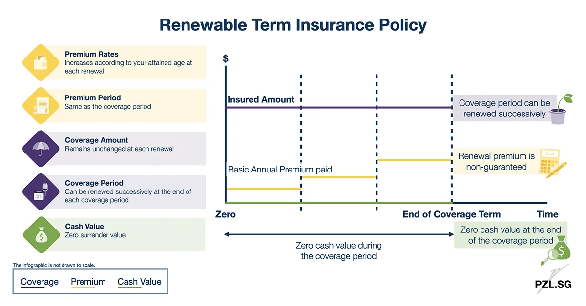 Renewable Term Insurance Policy