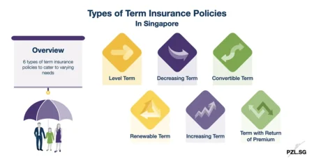Types of Term Insurance Policies in Singapore