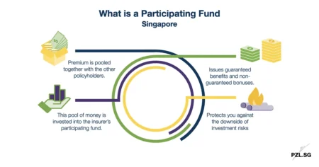 What is a Participating Fund Singapore