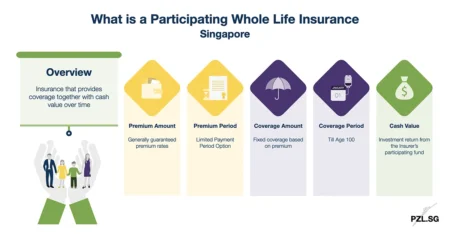 What is a Participating Whole Life Insurance Singapore