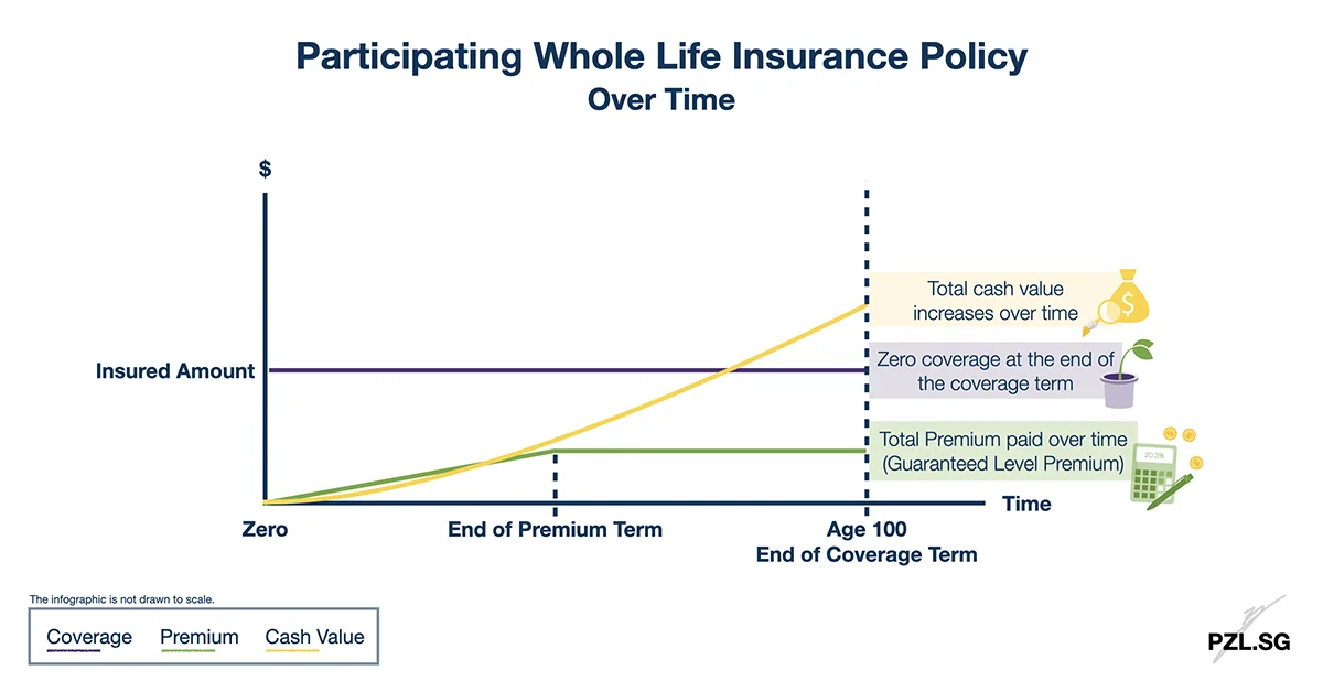 Participating Whole Life Insurance Policy over time