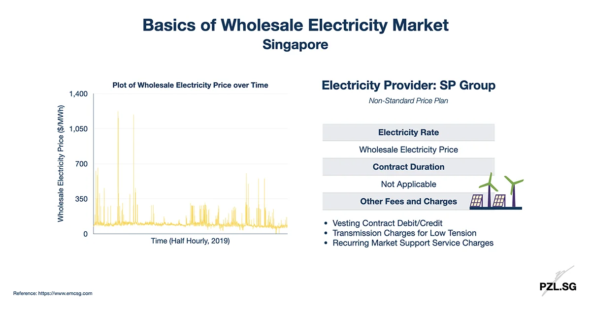 Basics of Wholesale Electricity Market Singapore